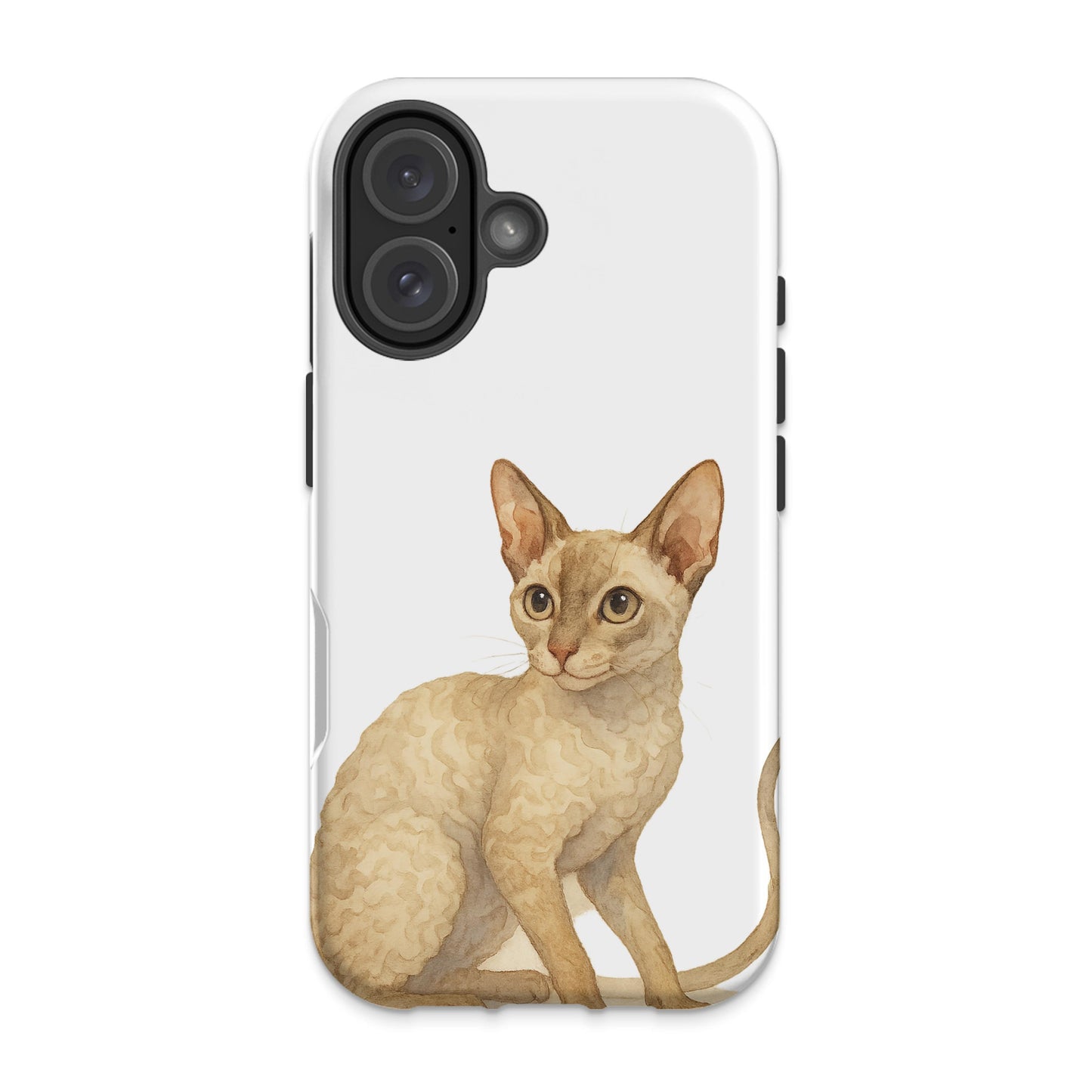 Cute Cat with Curly Fur design Phone Case product