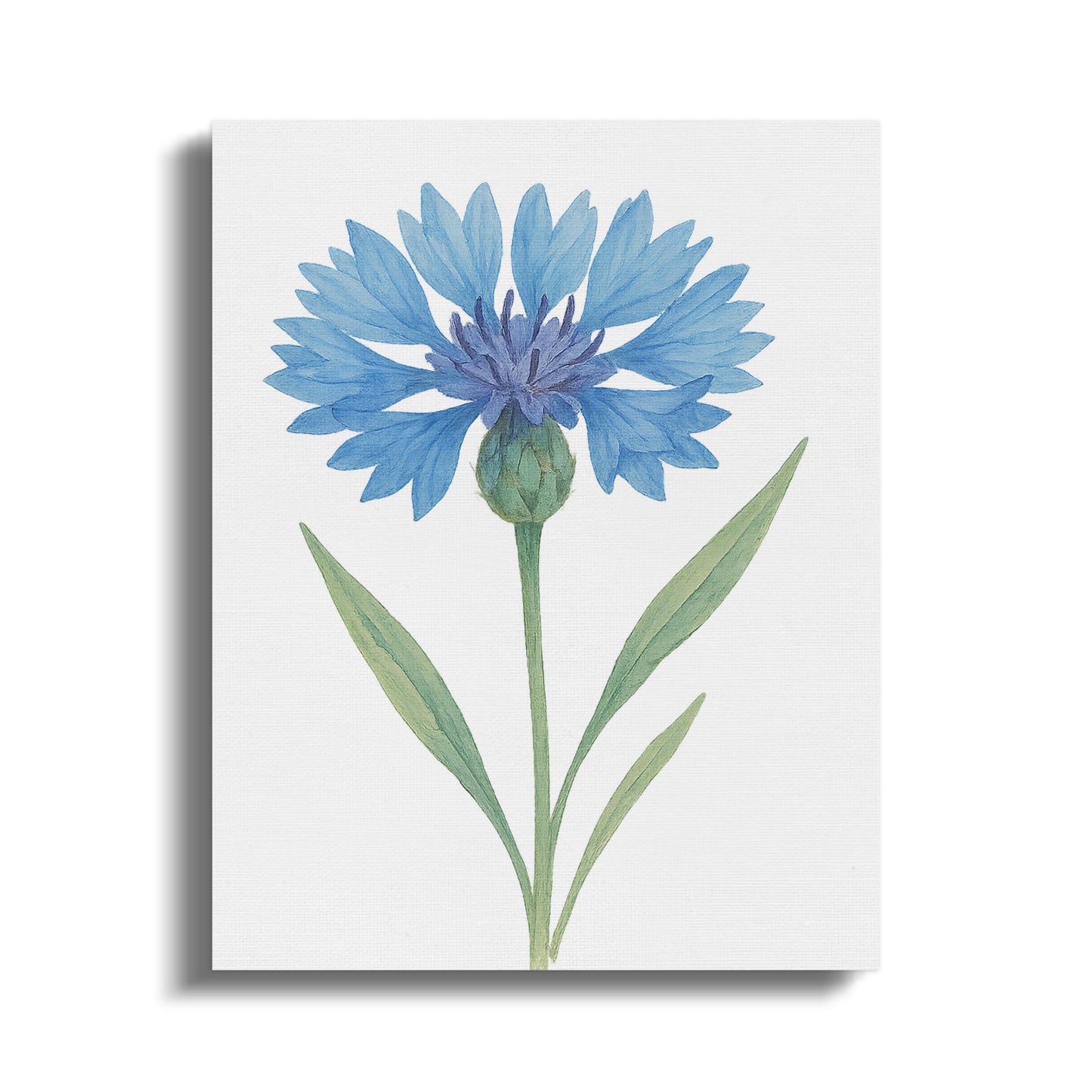 Beautiful Botanical Blue Flower Wall Art Canvas product