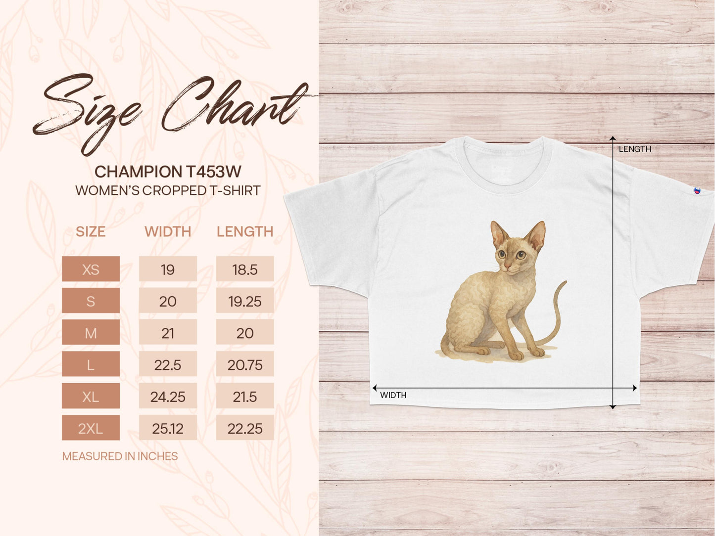 Champion T435W Women's Cropped T-Shirt product type