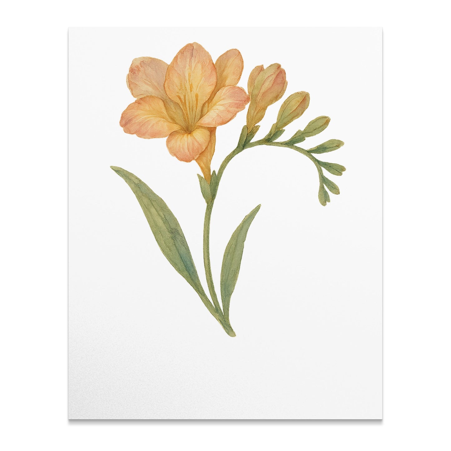 Elegant Botanical Floral Art Print product