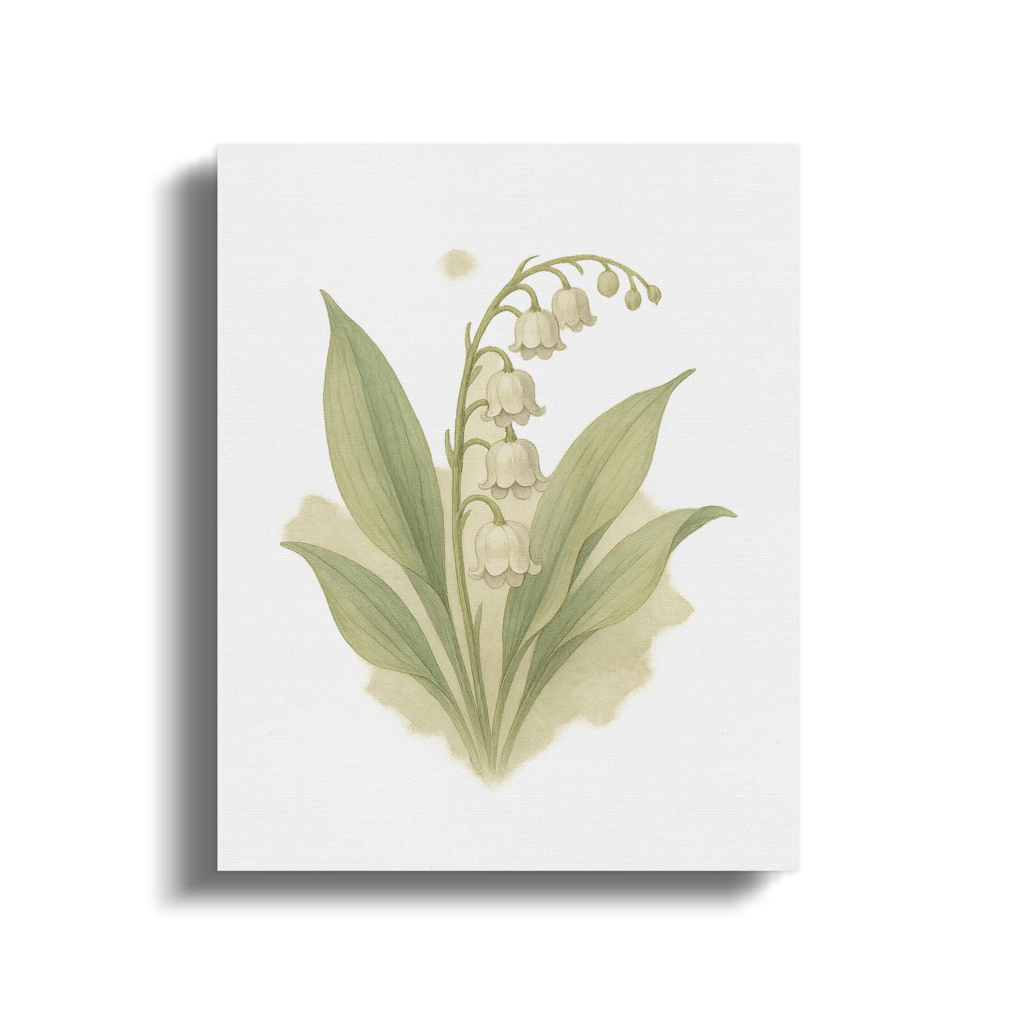 Lily of the Valley Botanical Art Print product