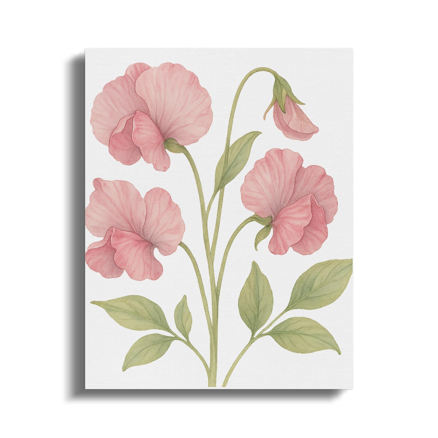 Beautiful Pink Blossoms On Canvas Wall Art product