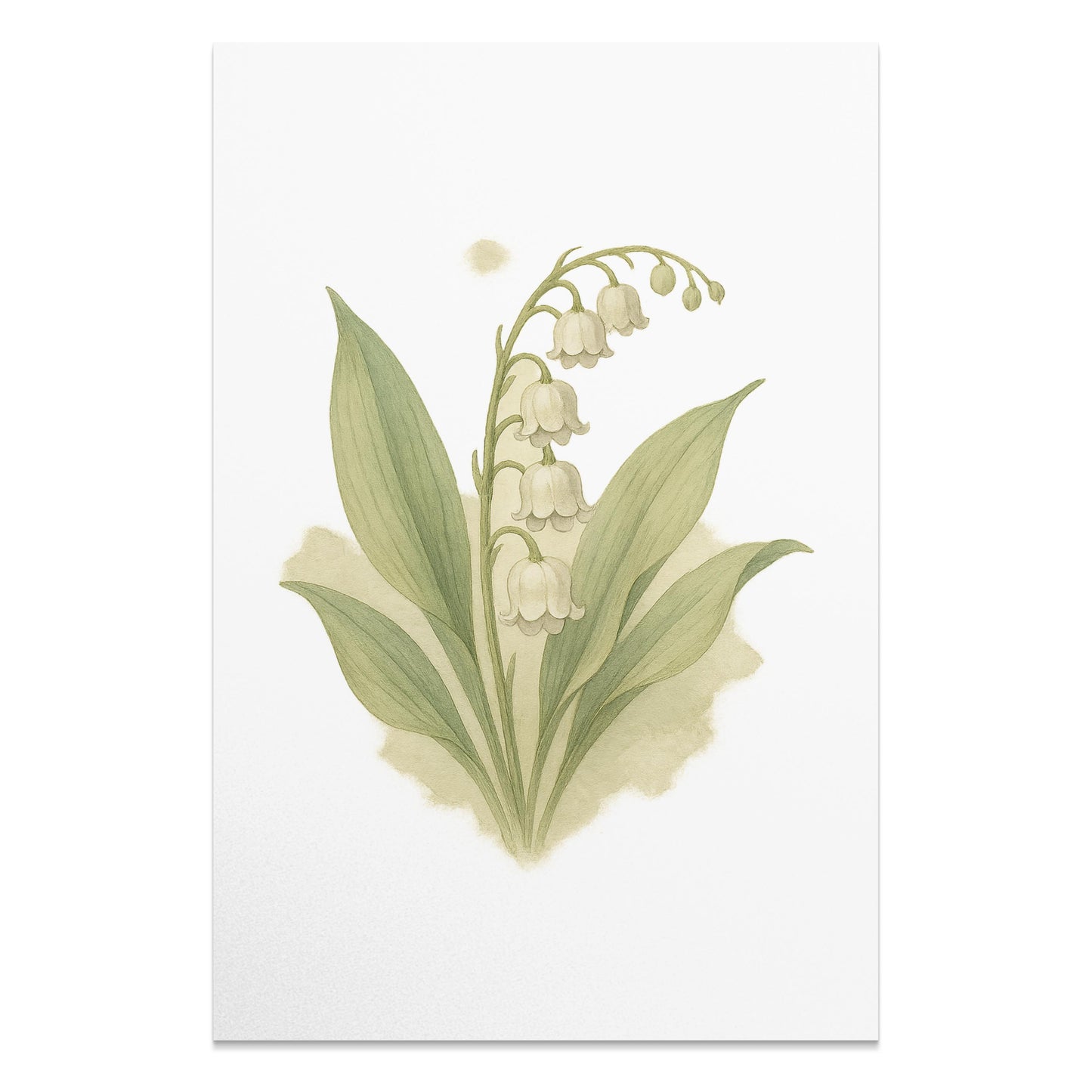 Elegant Lily of the Valley Botanical Print product type