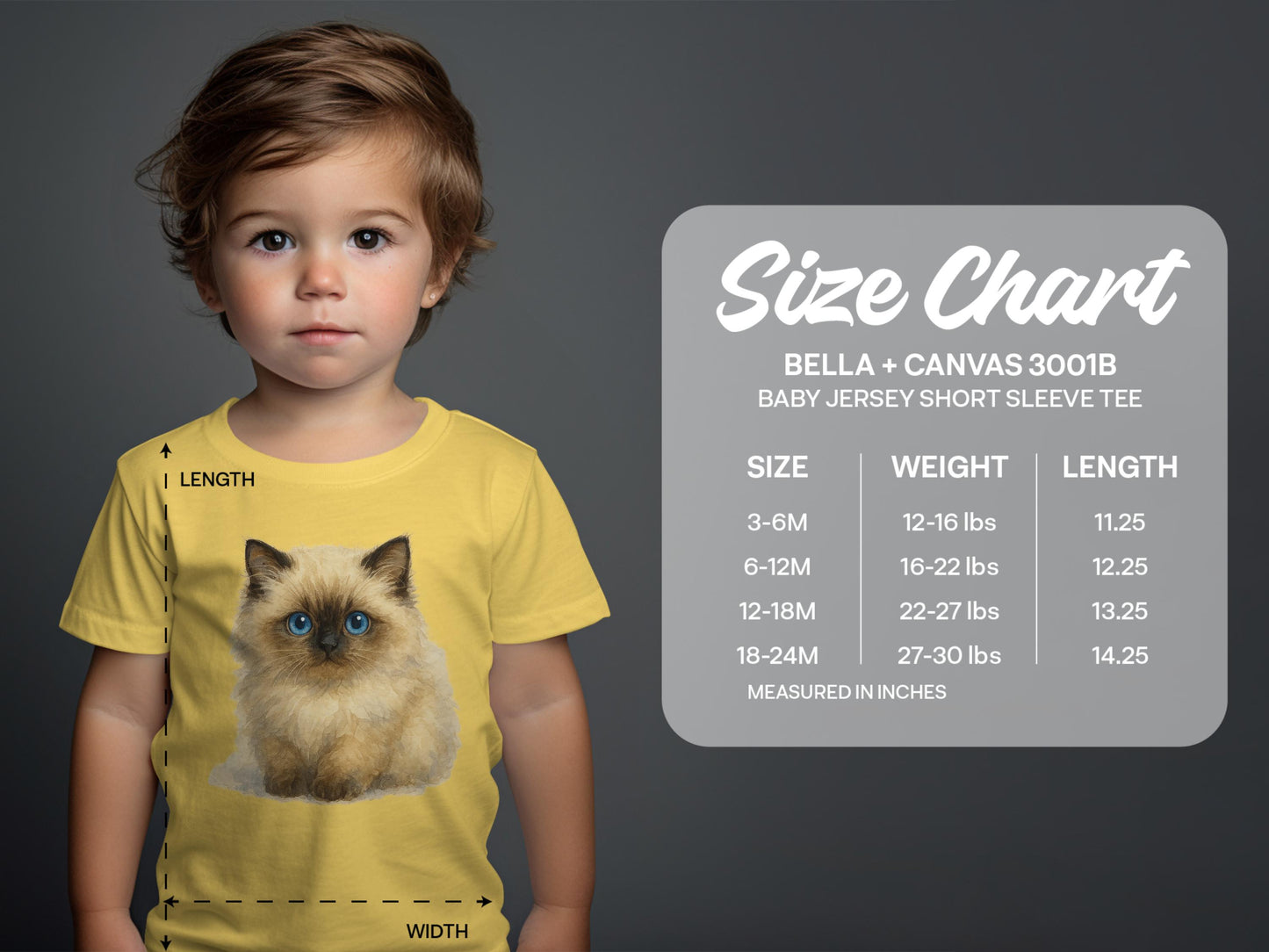 Bella Canvas 3001B Baby Jersey Short Sleeve Tee product