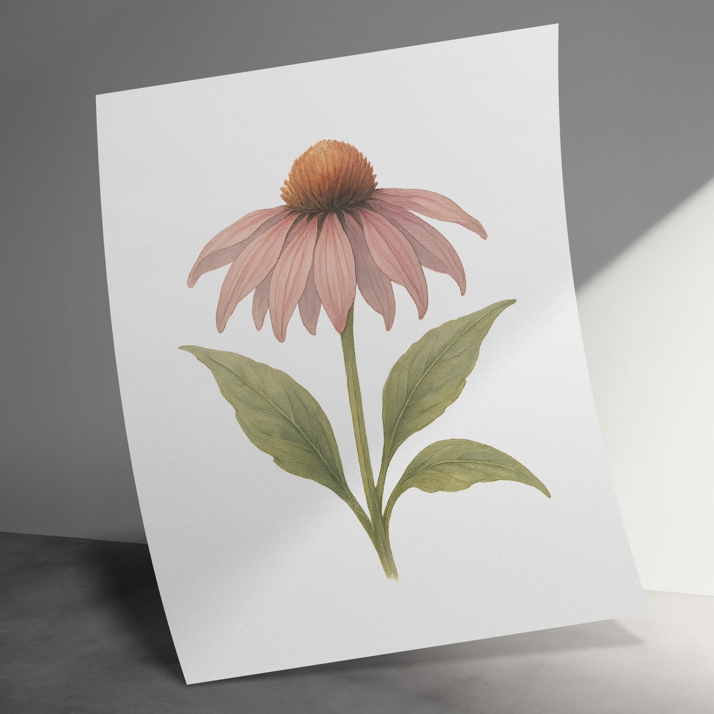 Echinacea Flower Art Print Wall Decor Poster product type