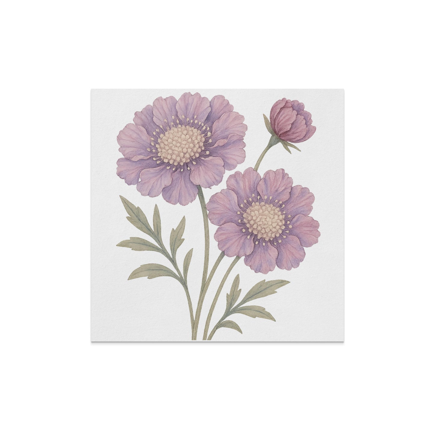 Beautifully Illustrated Botanical Art Canvas product