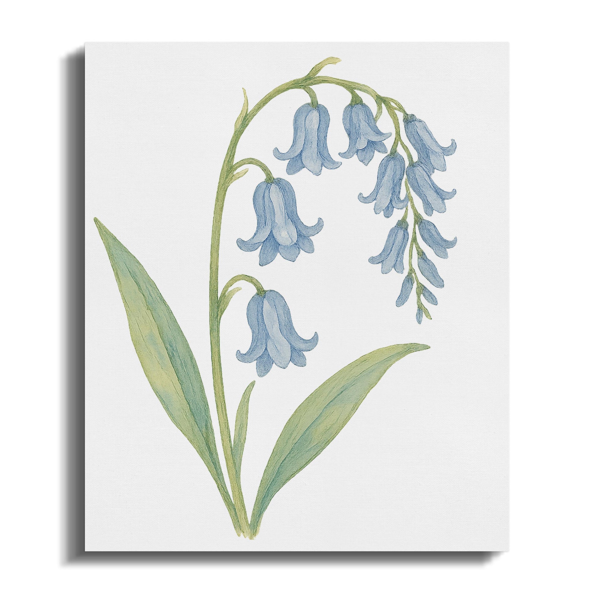Watercolor Bluebells Botanical Canvas Wall Art product