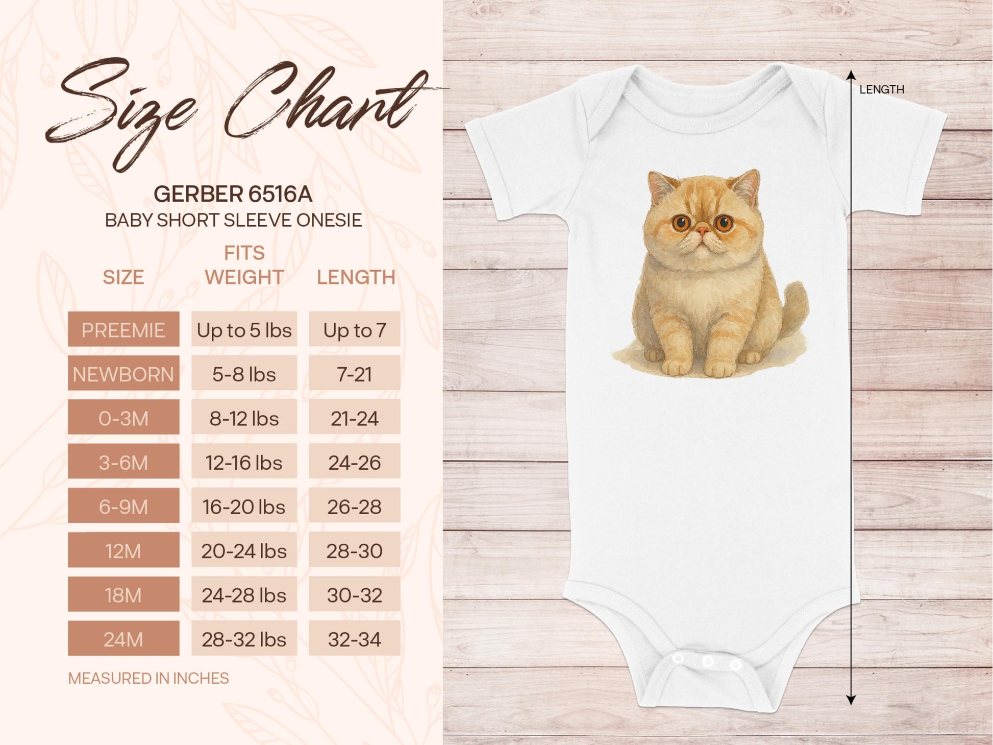 Cute Kitten Graphic Baby Short Sleeve Onesie product
