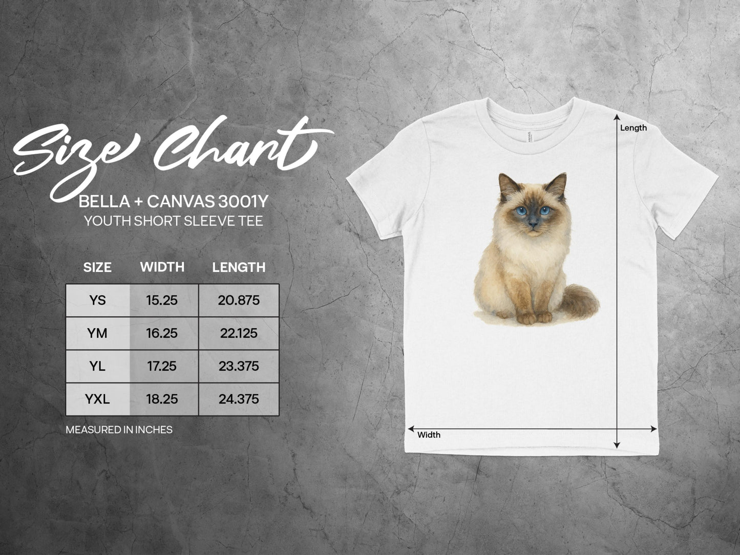 Cute Fluffy Cat Graphic White Short Sleeve Tee product