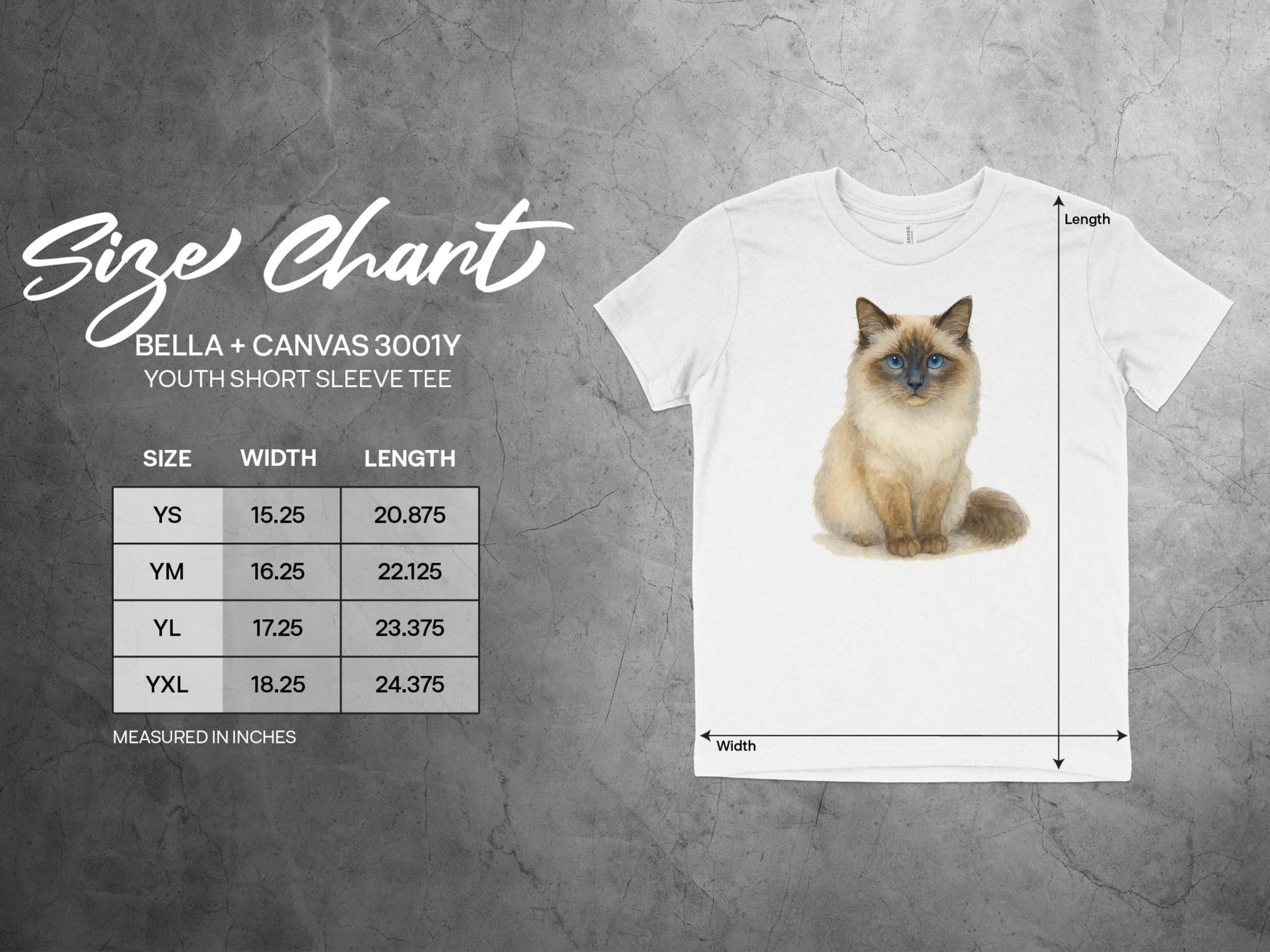 Cute Fluffy Cat Graphic White Short Sleeve Tee product