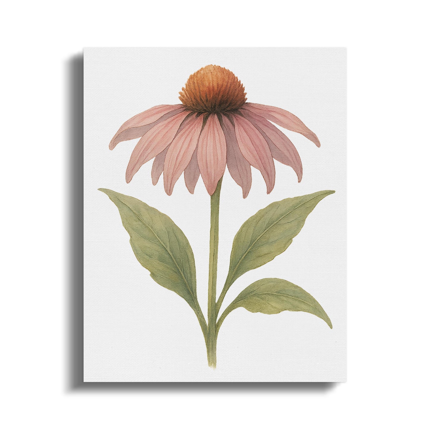 Beautiful Pink Flower Wall Art Canvas product type