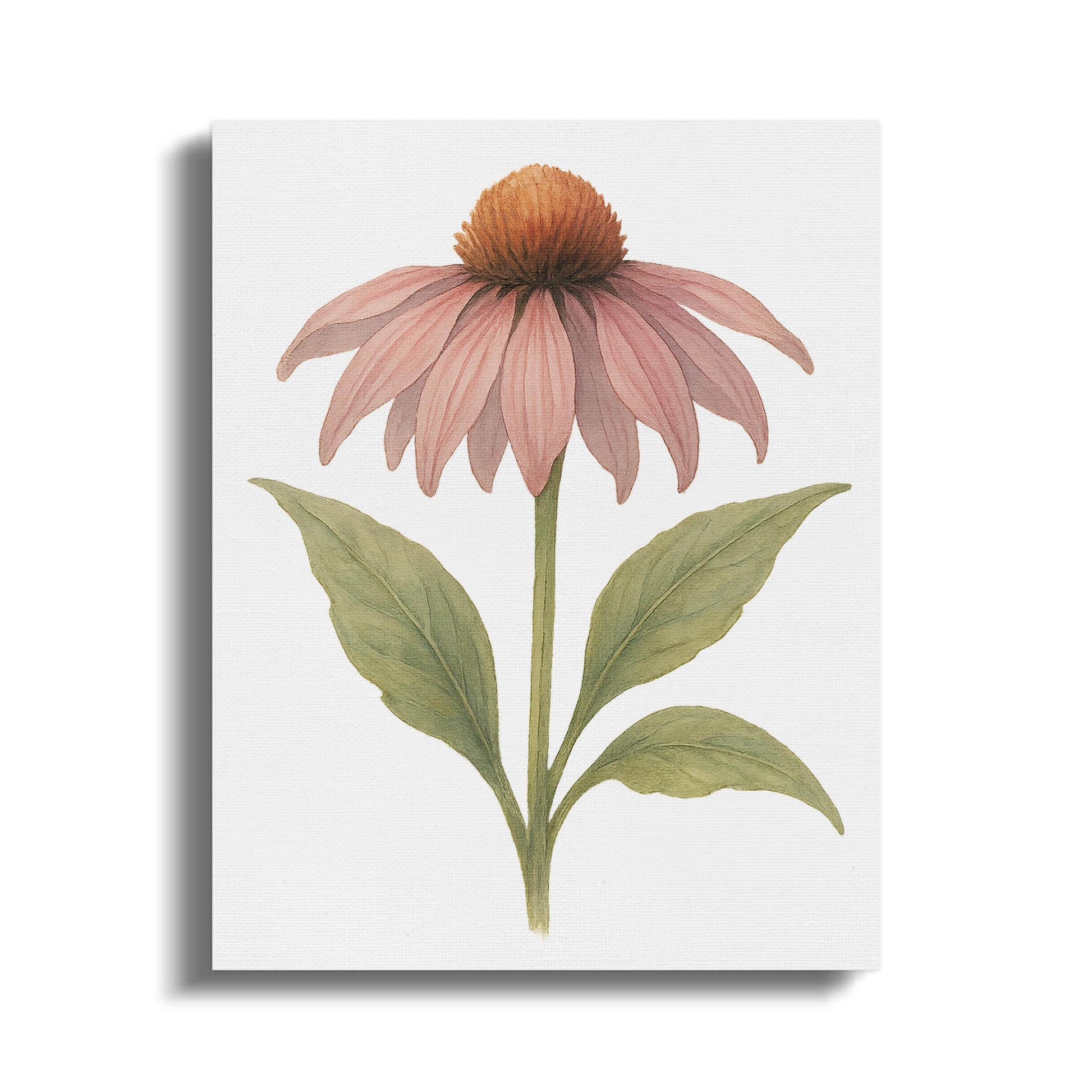 Beautiful Pink Flower Wall Art Canvas product type