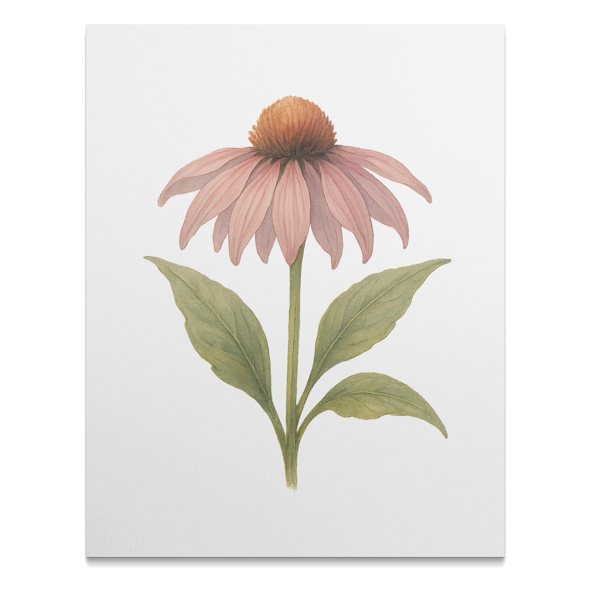 Elegant Botanical Painting of a Pink Flower product