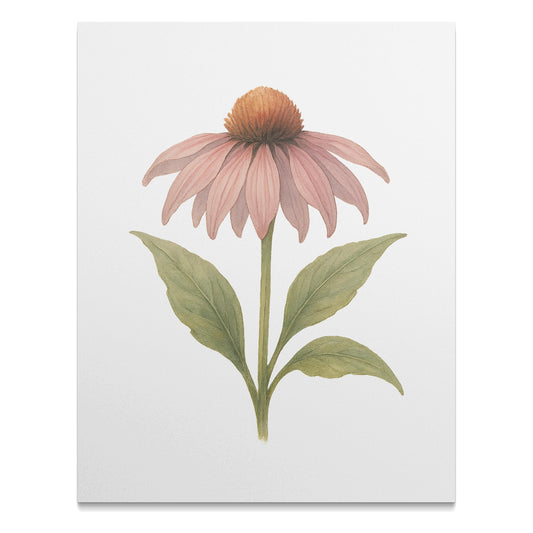 Elegant Botanical Painting of a Pink Flower product
