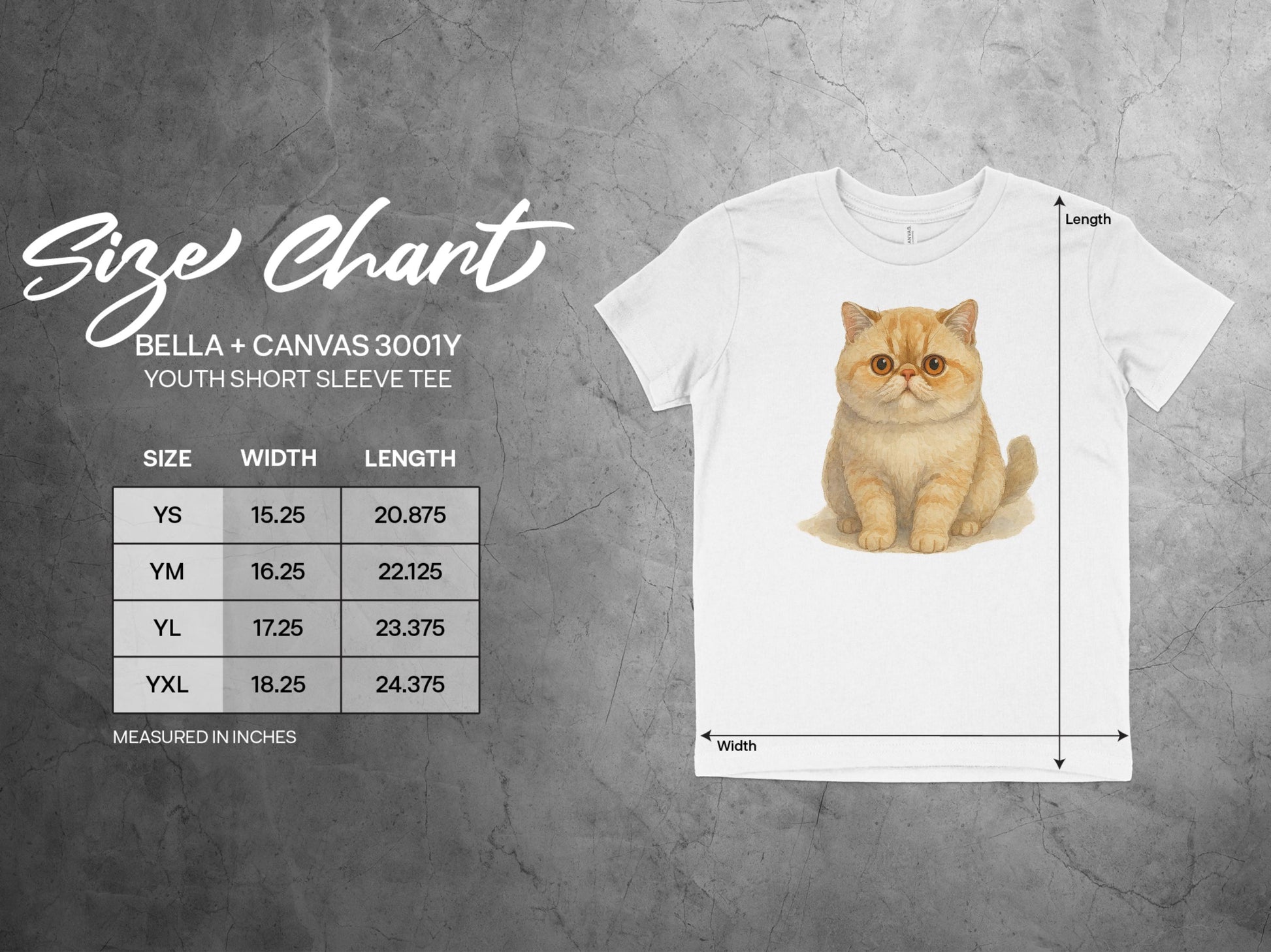 Cute Kitten Printed Youth Short Sleeve Tee product type