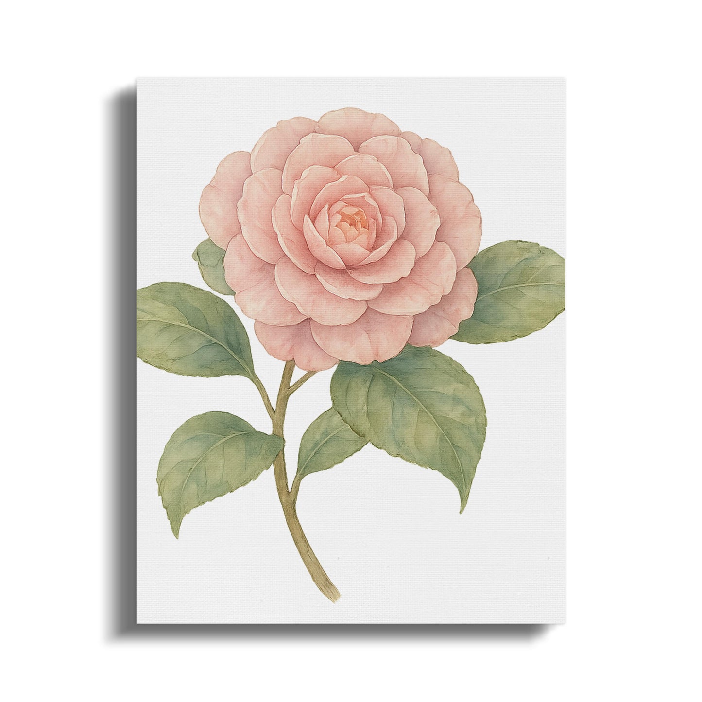 Beautiful Pink Rose Botanical Wall Art Canvas product