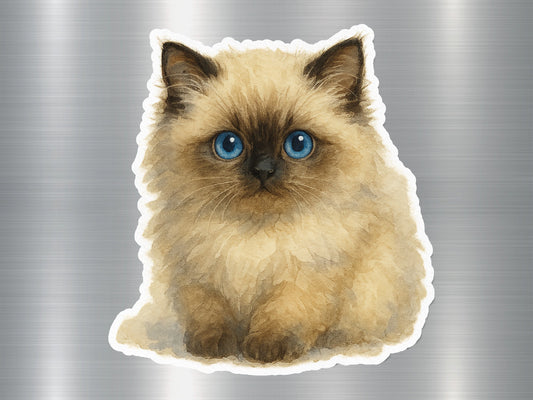 Adorable Fluffy Blue Eyed Kitten Sticker product type