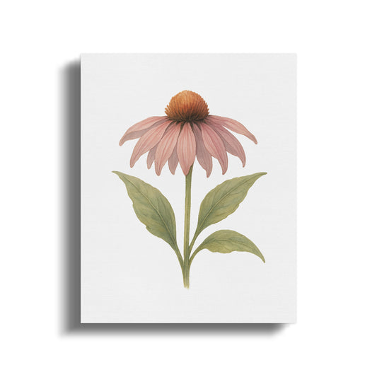 Elegant Botanical Art of Pink Flower Wall Art product