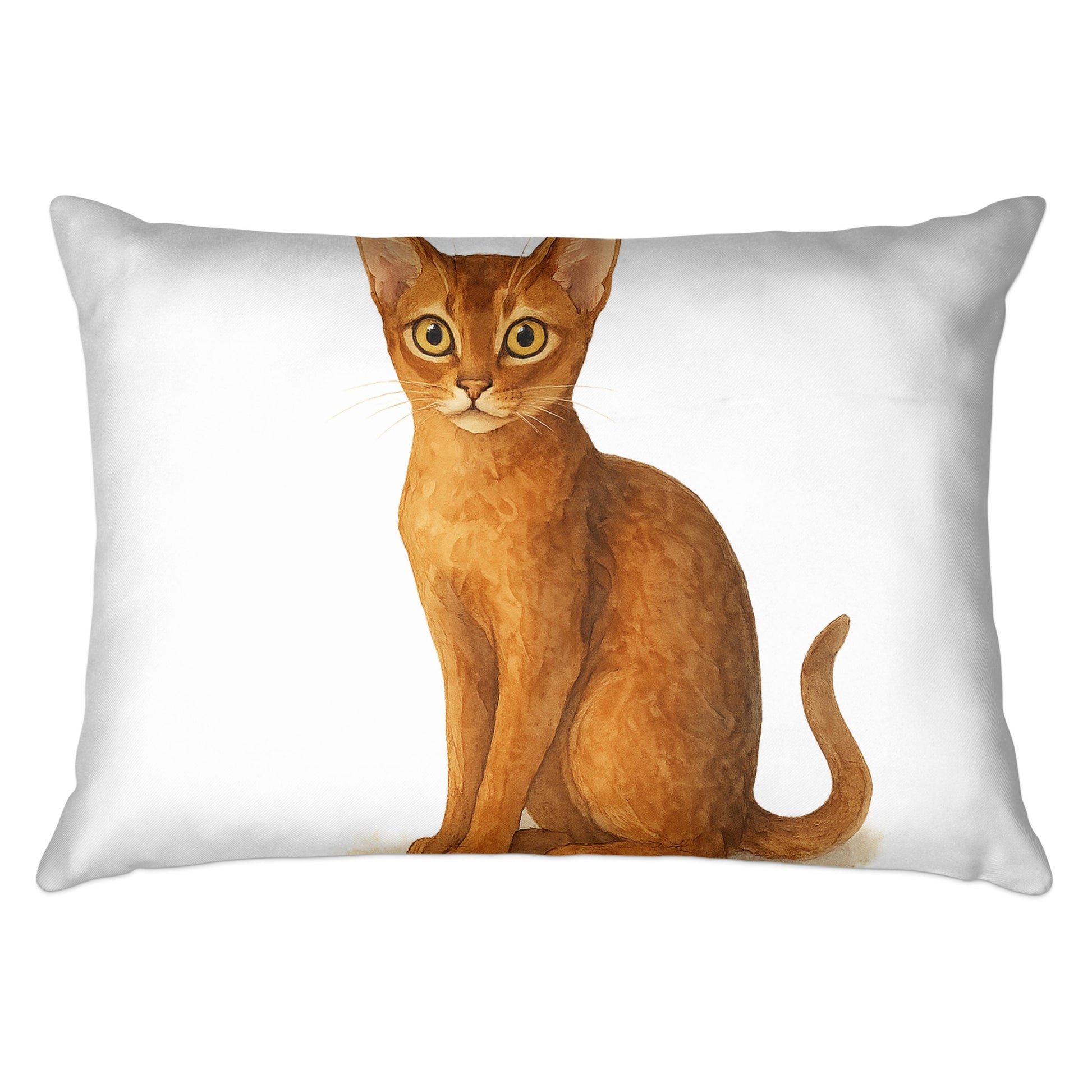 Adorable Sitting Brown Cat Decorative Pillow product