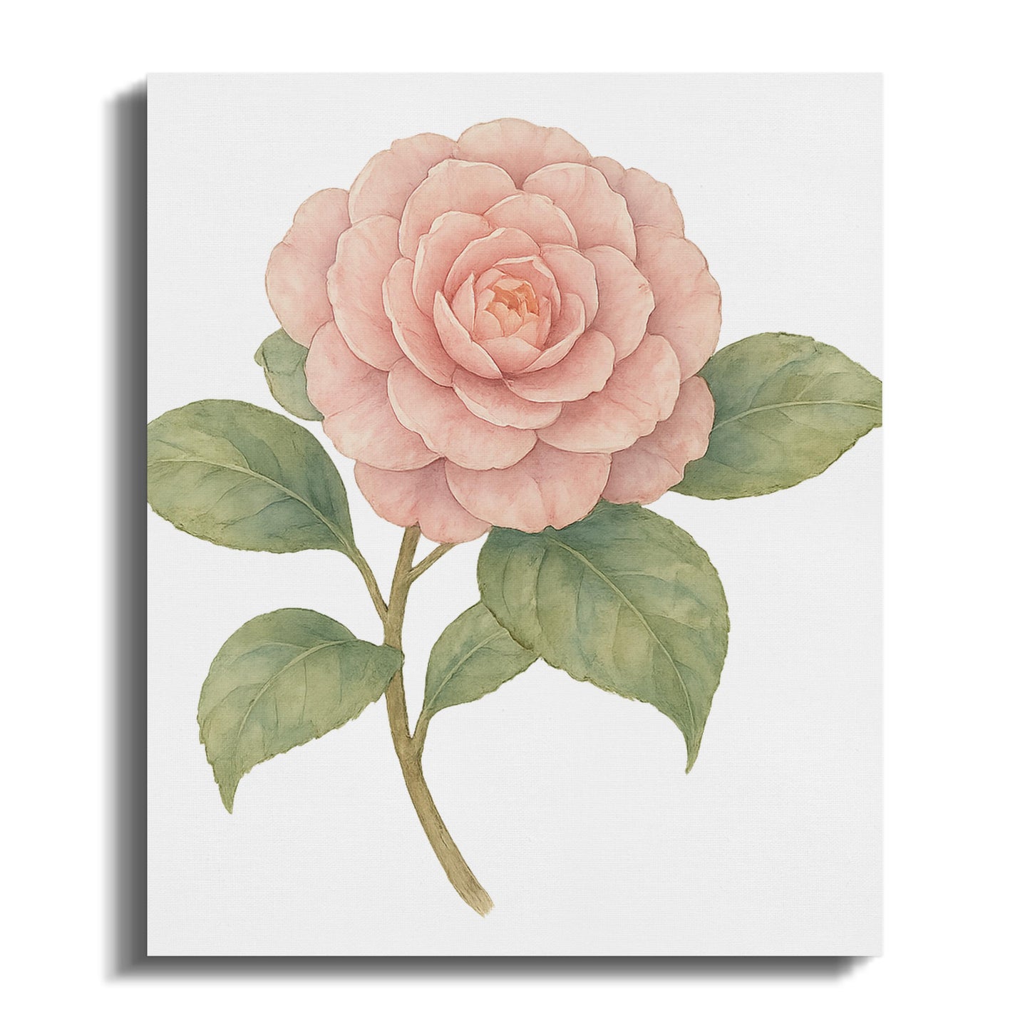 Delicate Pink Rose with Green Leaves Wall Art product type
