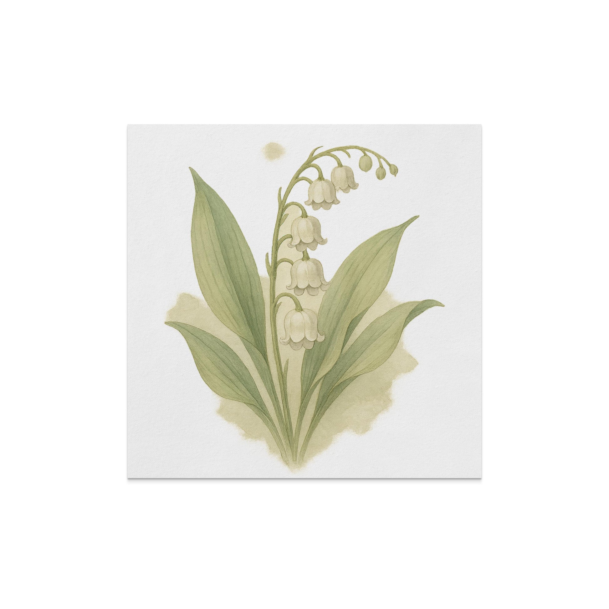 Beautiful Botanical Artwork Wall Decor Canvas product