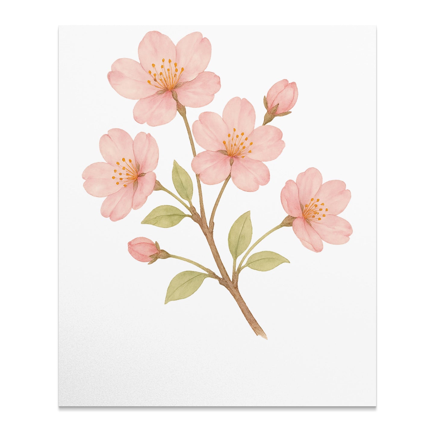 Blooming Pink Flowers on White Canvas Print product type