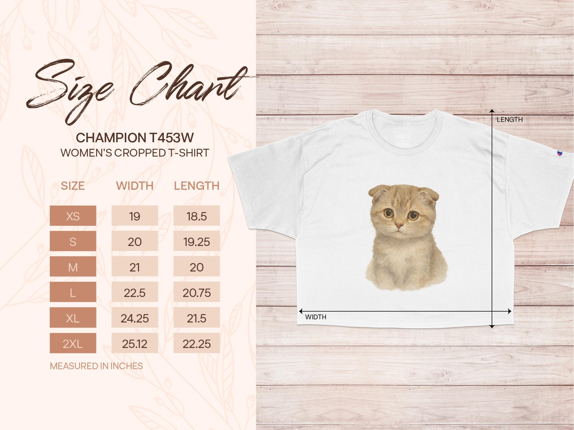 Champion T4350W Women's Cropped T-shirt product type