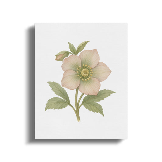 Delicate Pastel Flower Illustration on White Wall Art product