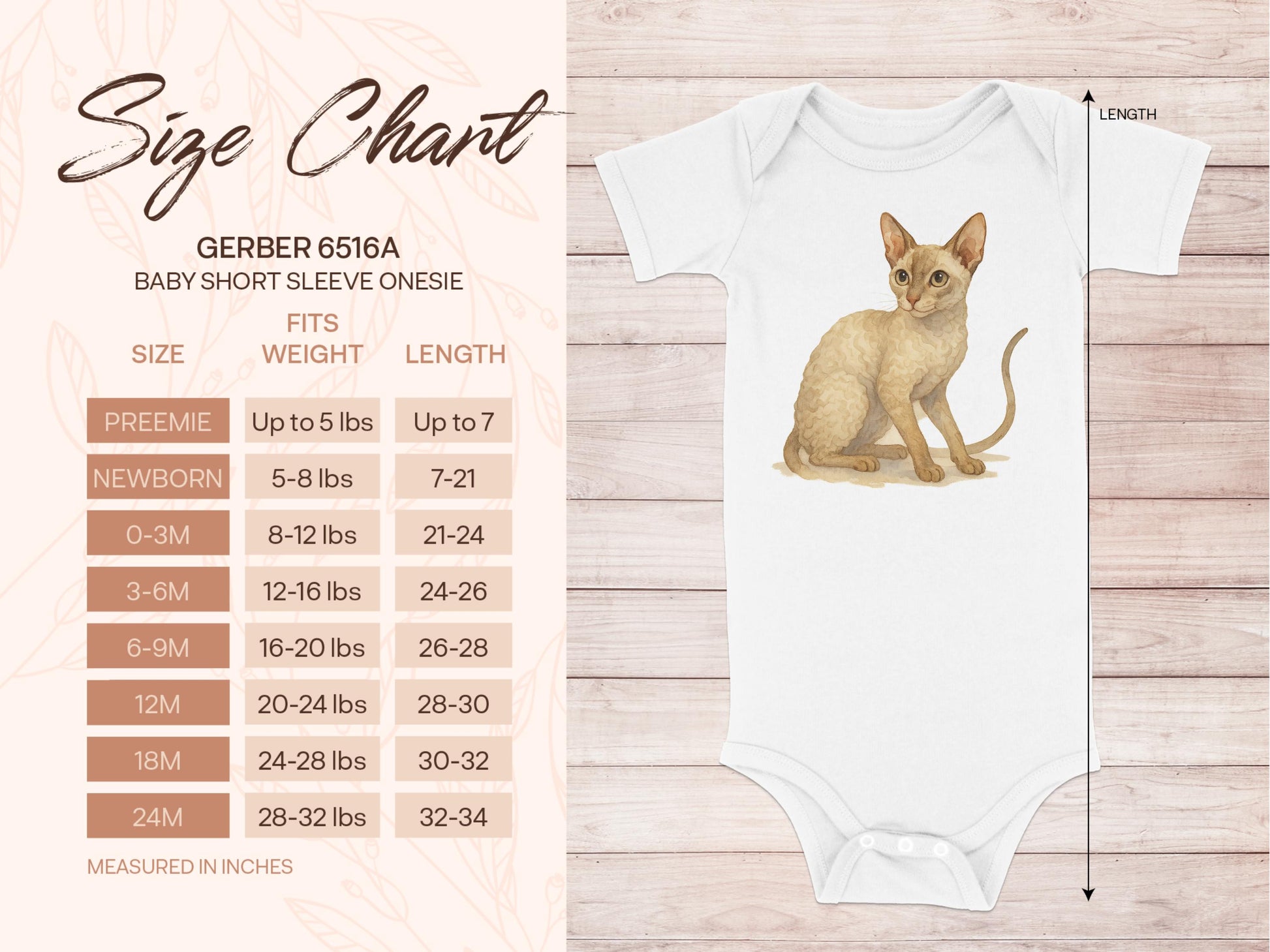 Cute Kitten Design Baby Short Sleeve Onesie product type