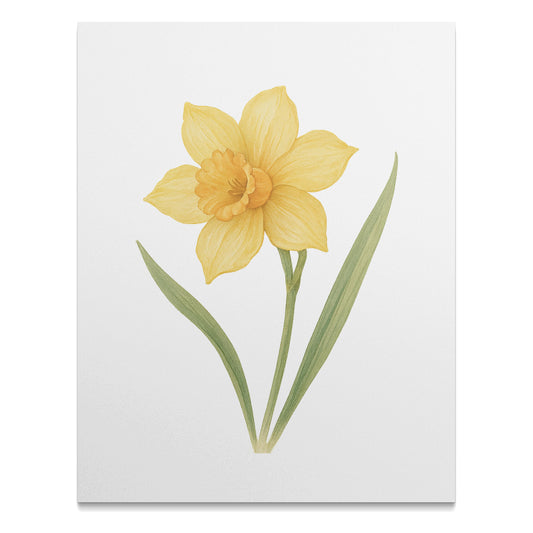Yellow Daffodil Botanical Art Print product