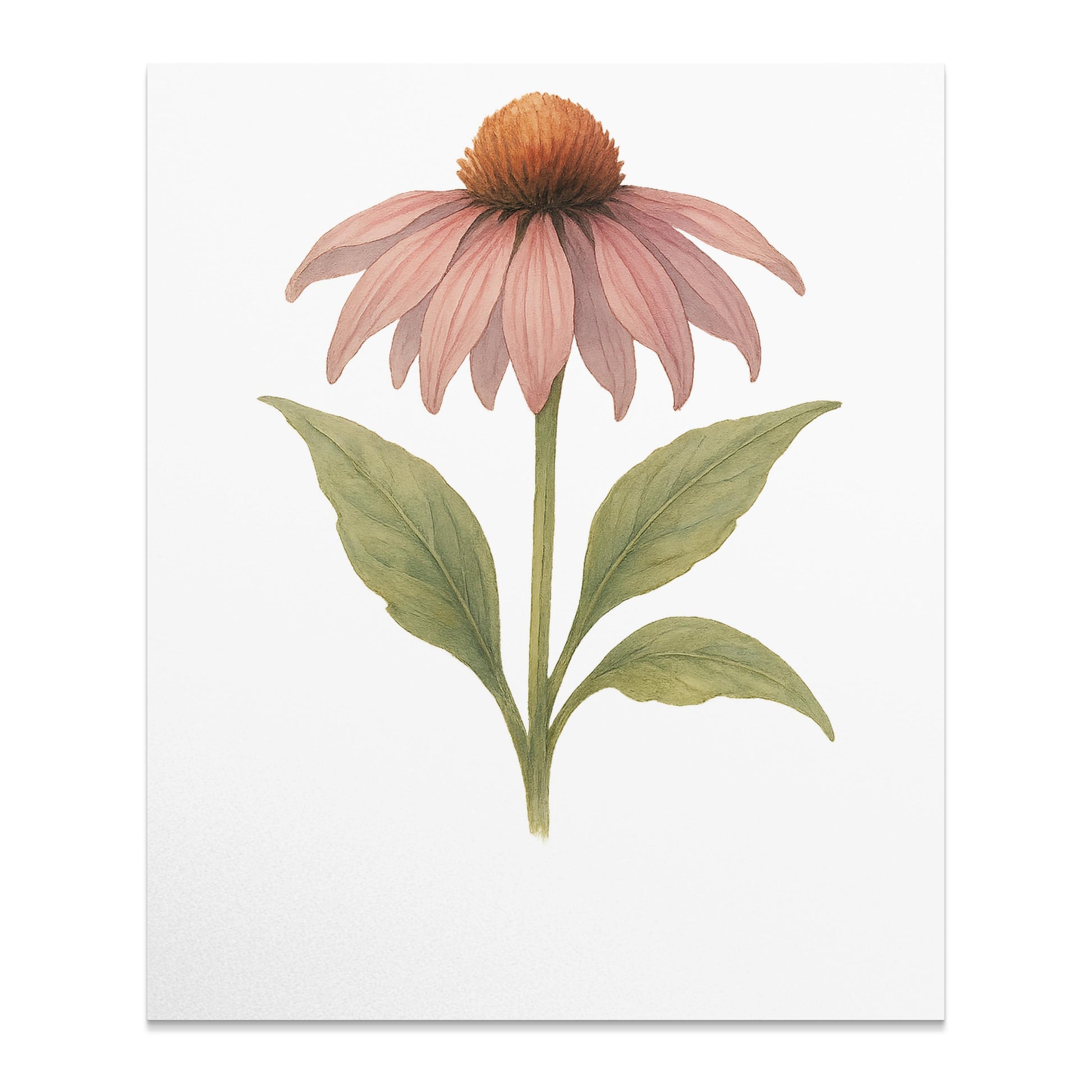 Beautiful Pink Flower Art Print for Nature Lovers product