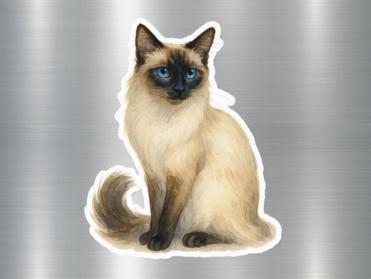Realistic Siamese Cat Sticker for Pet Lovers product