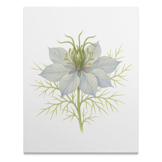 Delicate White Flower Illustration Art Wall Decor product
