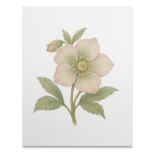 Elegant Botanical Artwork with Pastel Flower product type