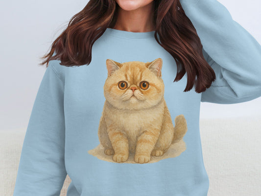 Cute Pudge-faced Cat Print on Blue Sweatshirt product