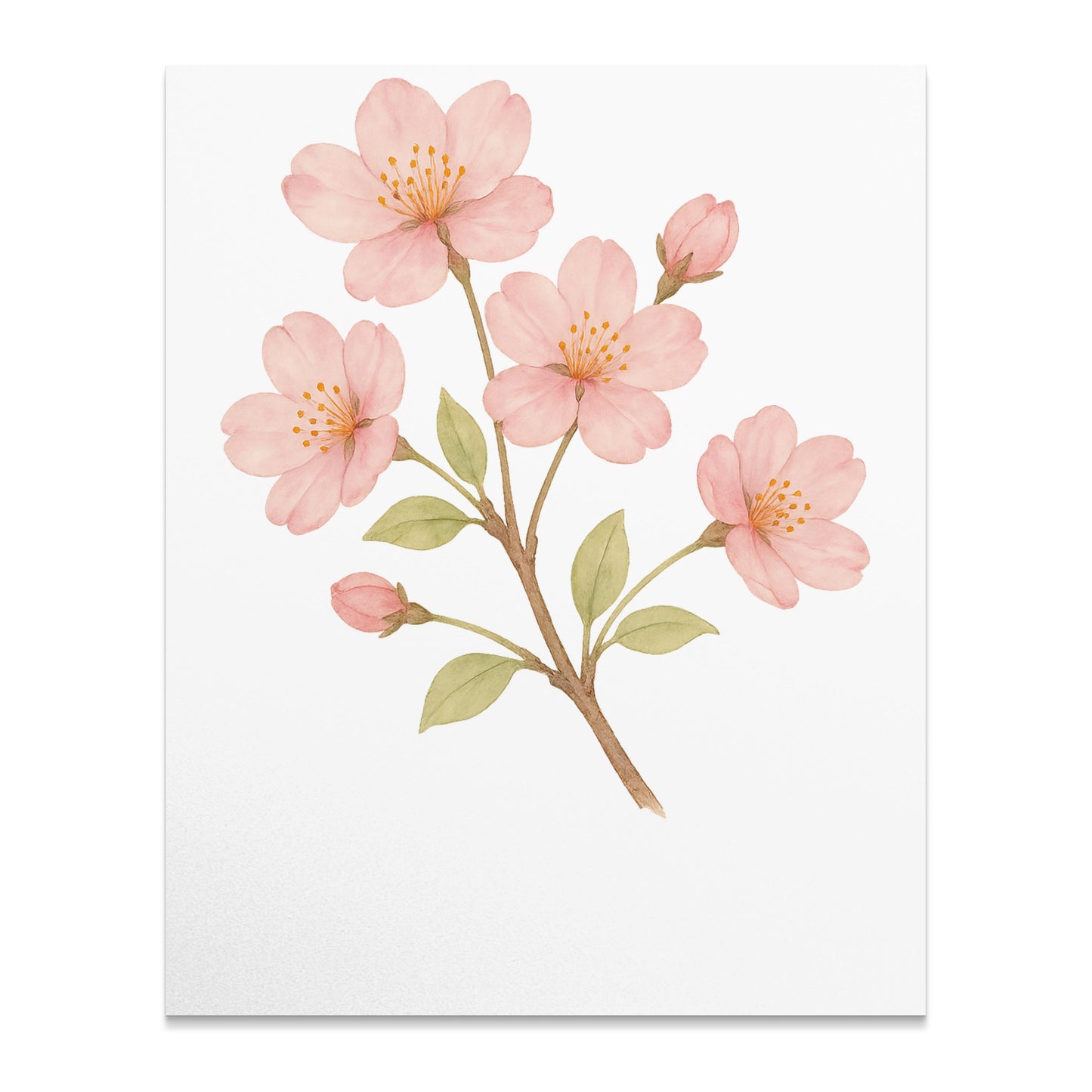 Pink Cherry Blossom Branch Art Print product