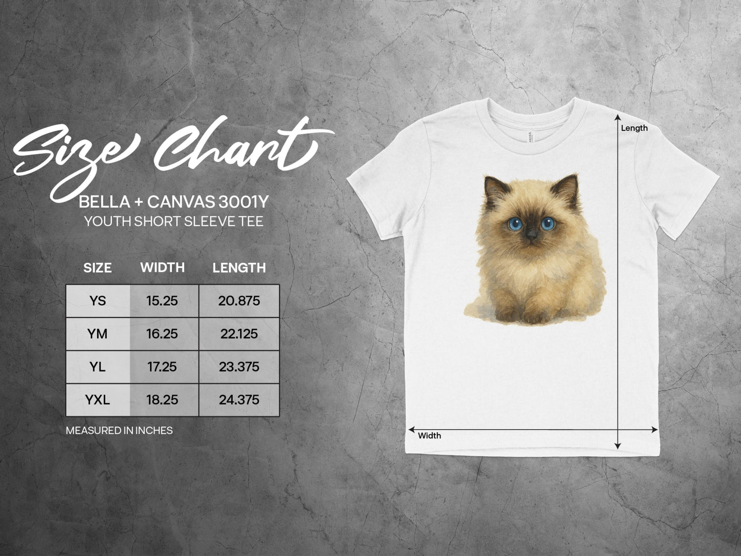 Furry Kitten Youth Short Sleeve Tee product type