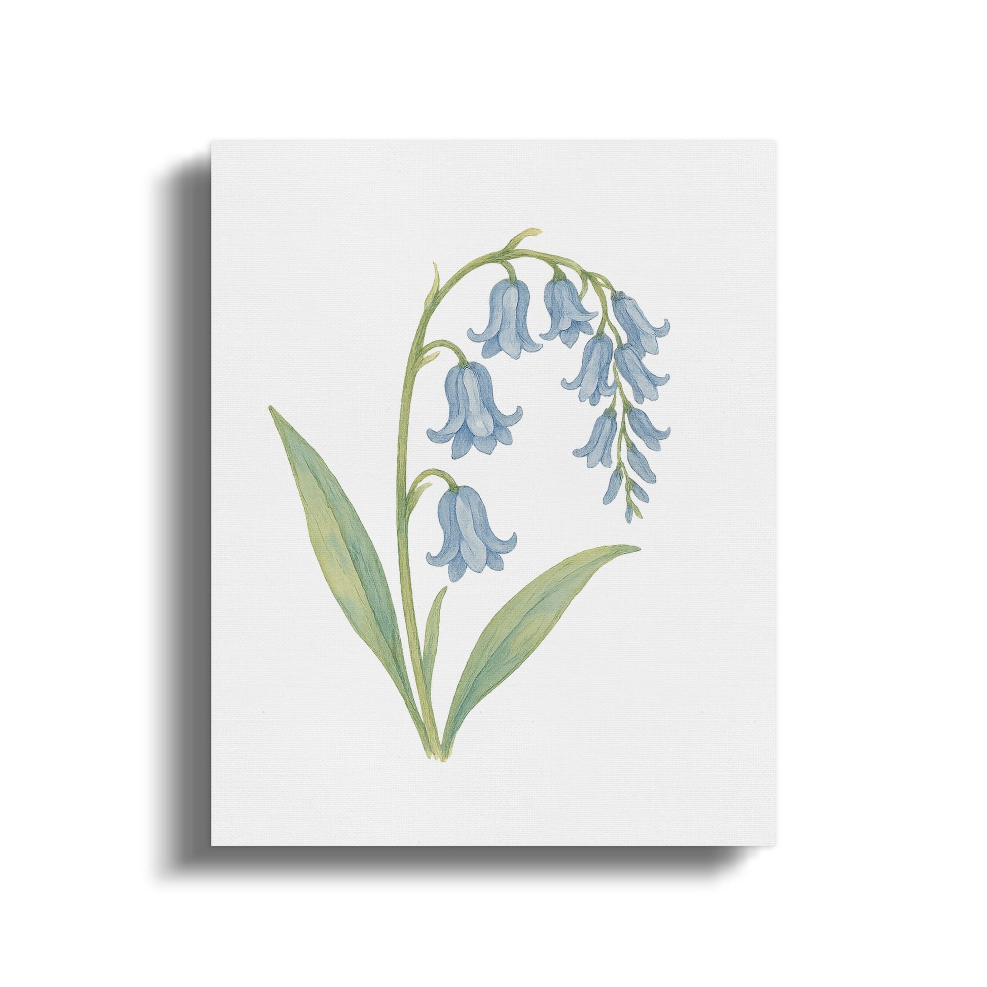 Bluebell Botanical Watercolor Print Canvas Art product