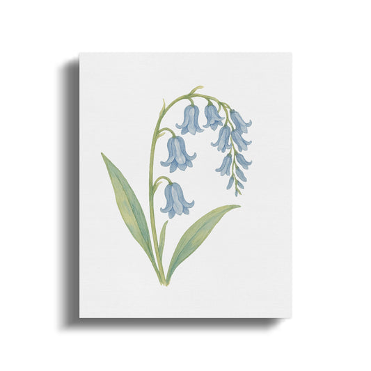 Bluebell Botanical Watercolor Print Canvas Art product