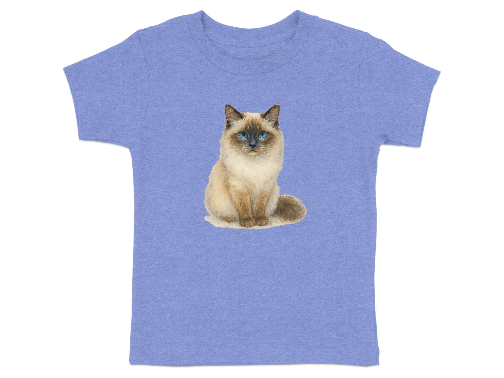 Cute Fluffy Cat Illustration on Blue T-shirt product type