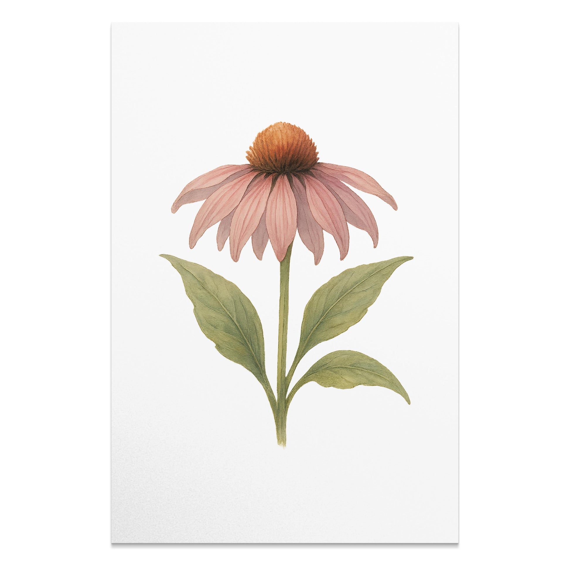Beautiful Pink Flower Botanical Art Print product type