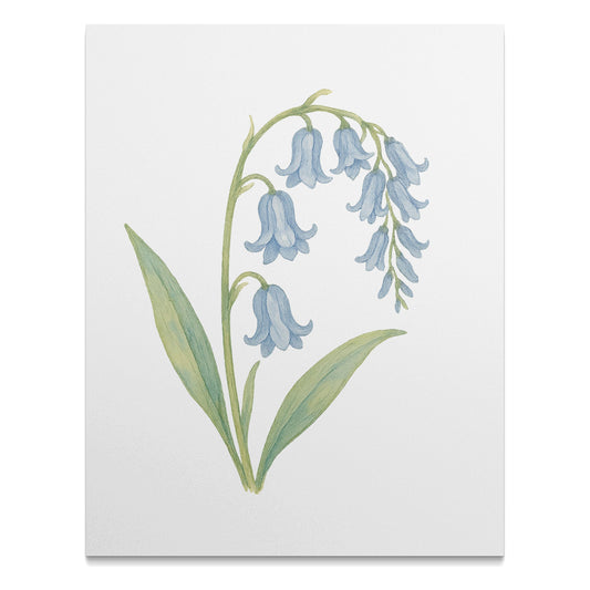 Bluebell Botanical Art Print Flower Wall Art Product