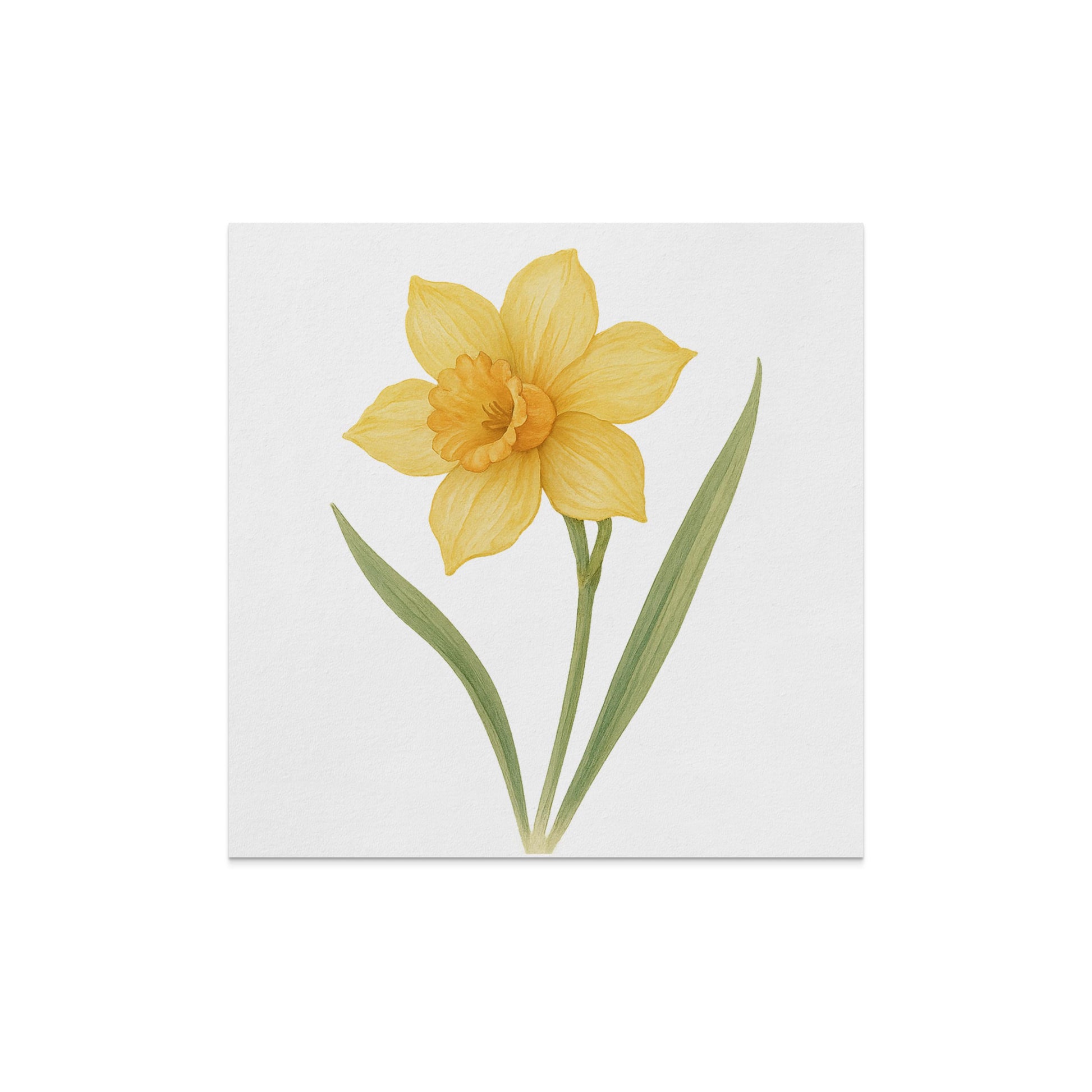 Beautiful Yellow Daffodil Art Print Wall Décor product type