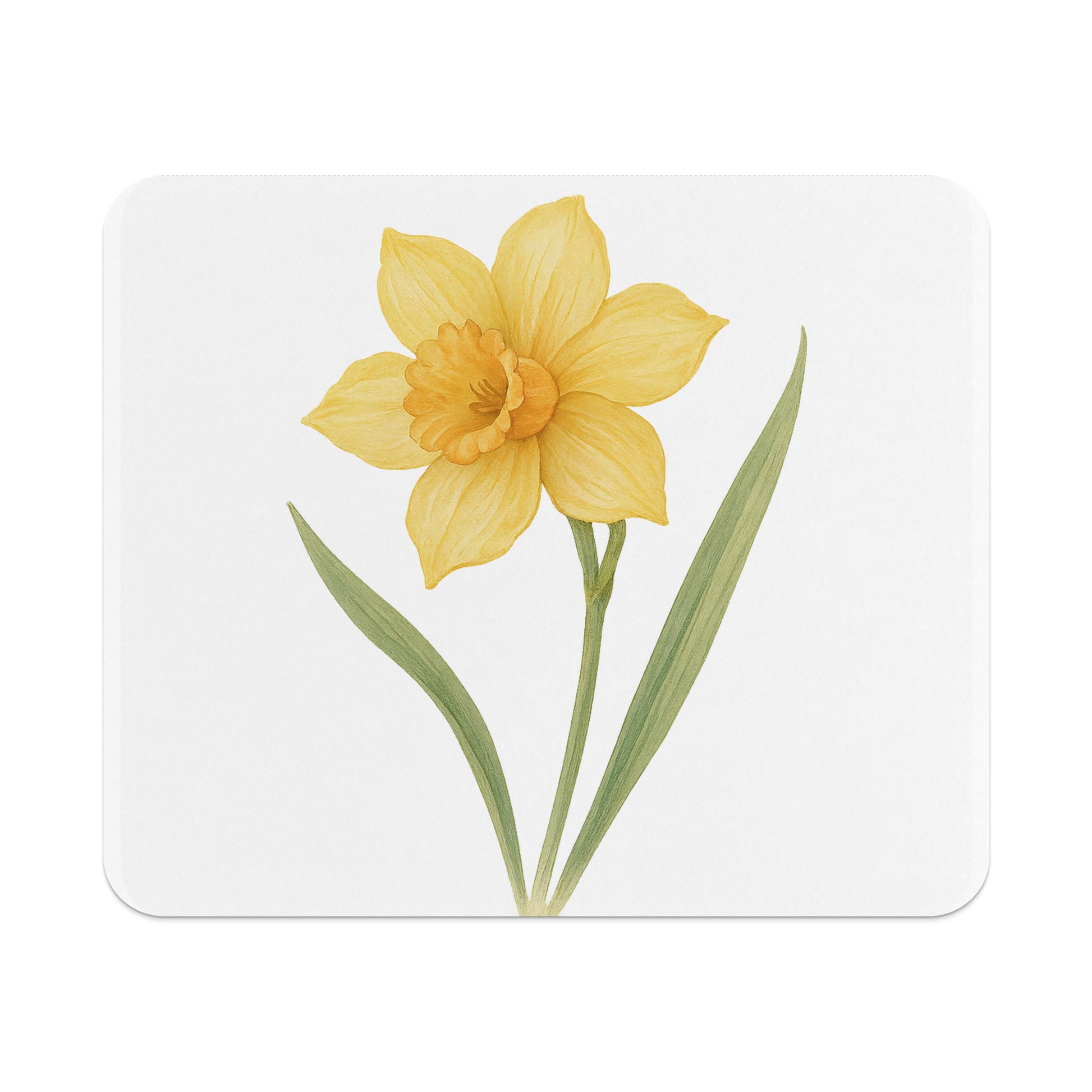 Beautiful Daffodil Print on White Background product