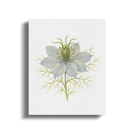 Delicate Botanical Illustration Floral Wall Art product