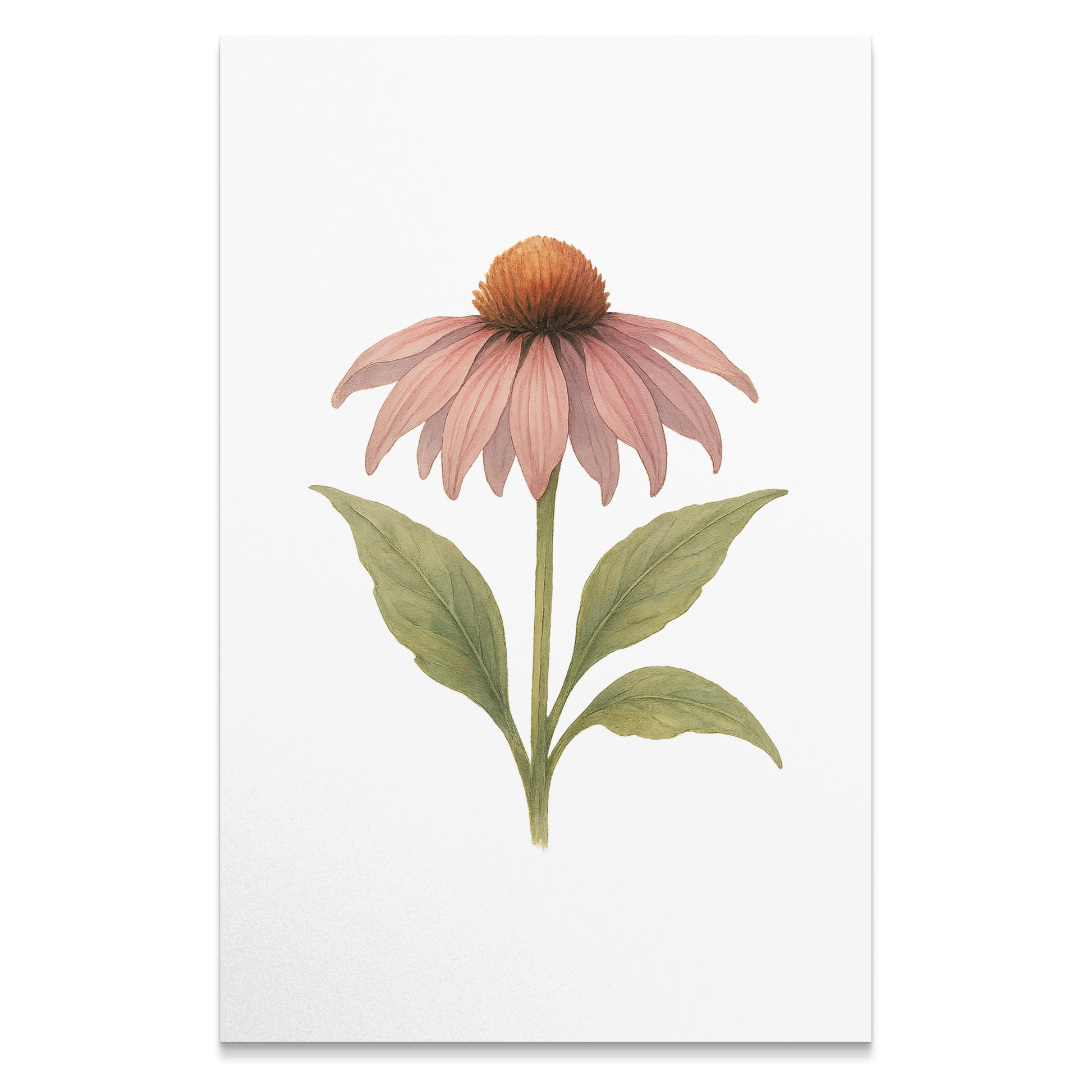 Beautiful Single Pink Blossom Wall Art product