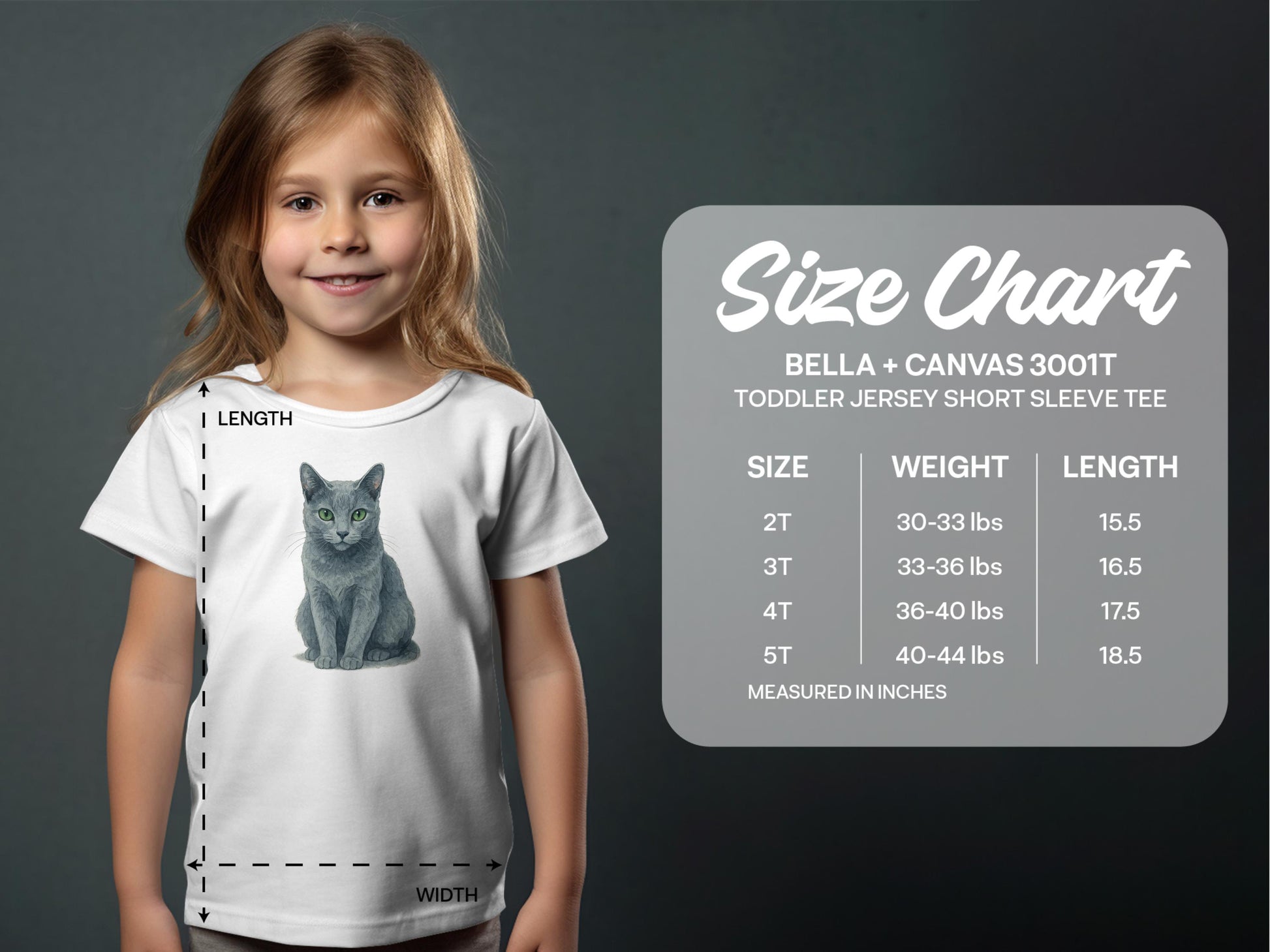 Cute Gray Cat Graphic Toddler Jersey Short Sleeve product