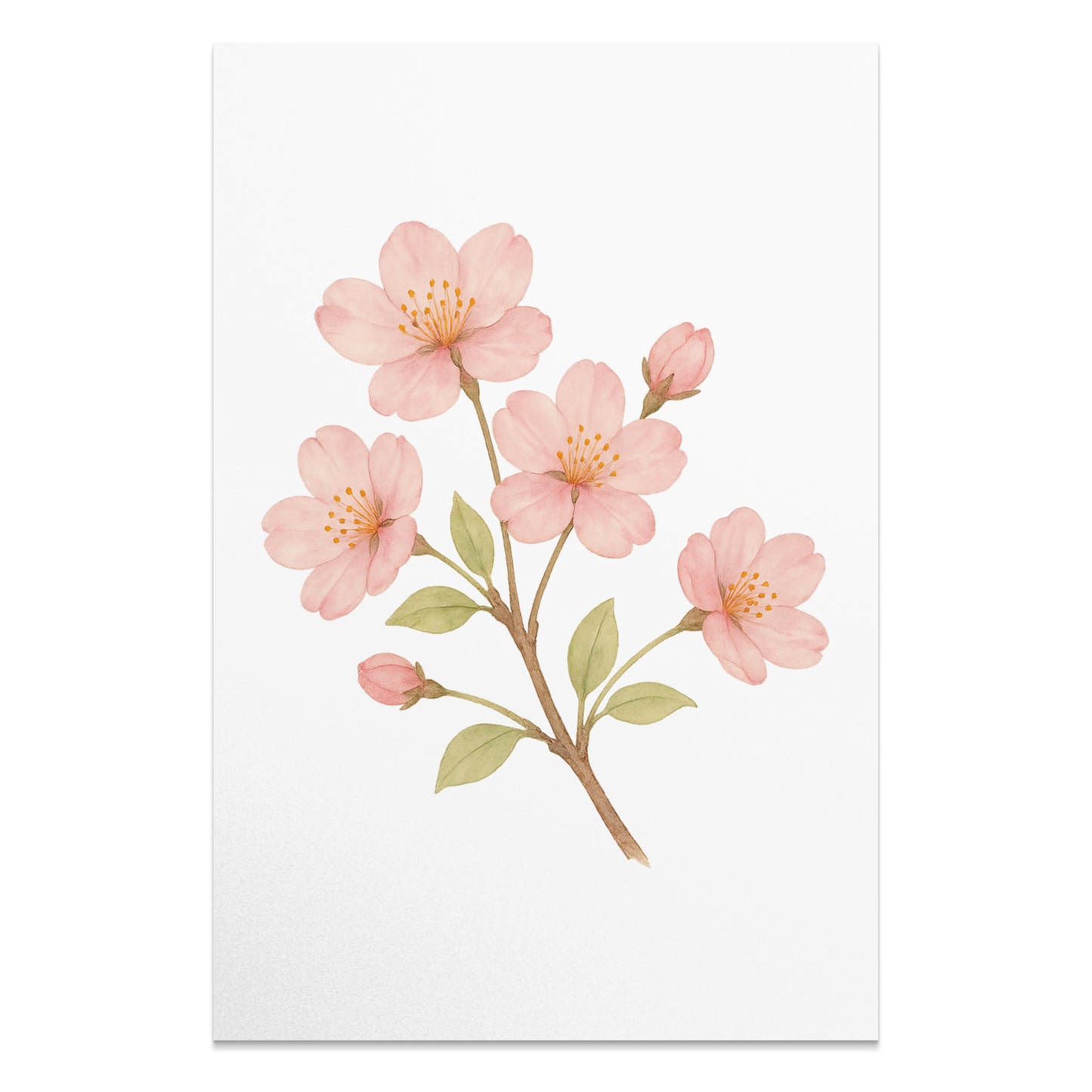Pink Cherry Blossom Floral Print Poster product type