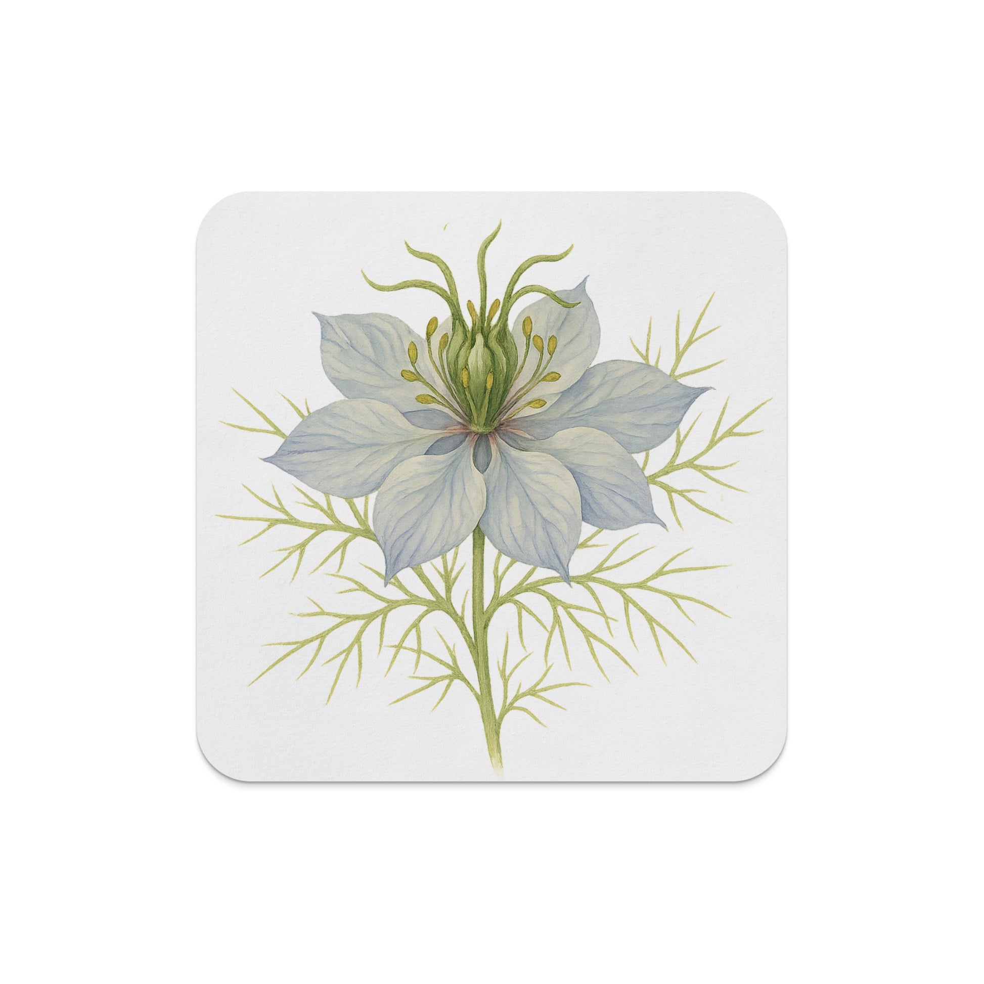 Botanical Illustration of Flower Square Coaster product