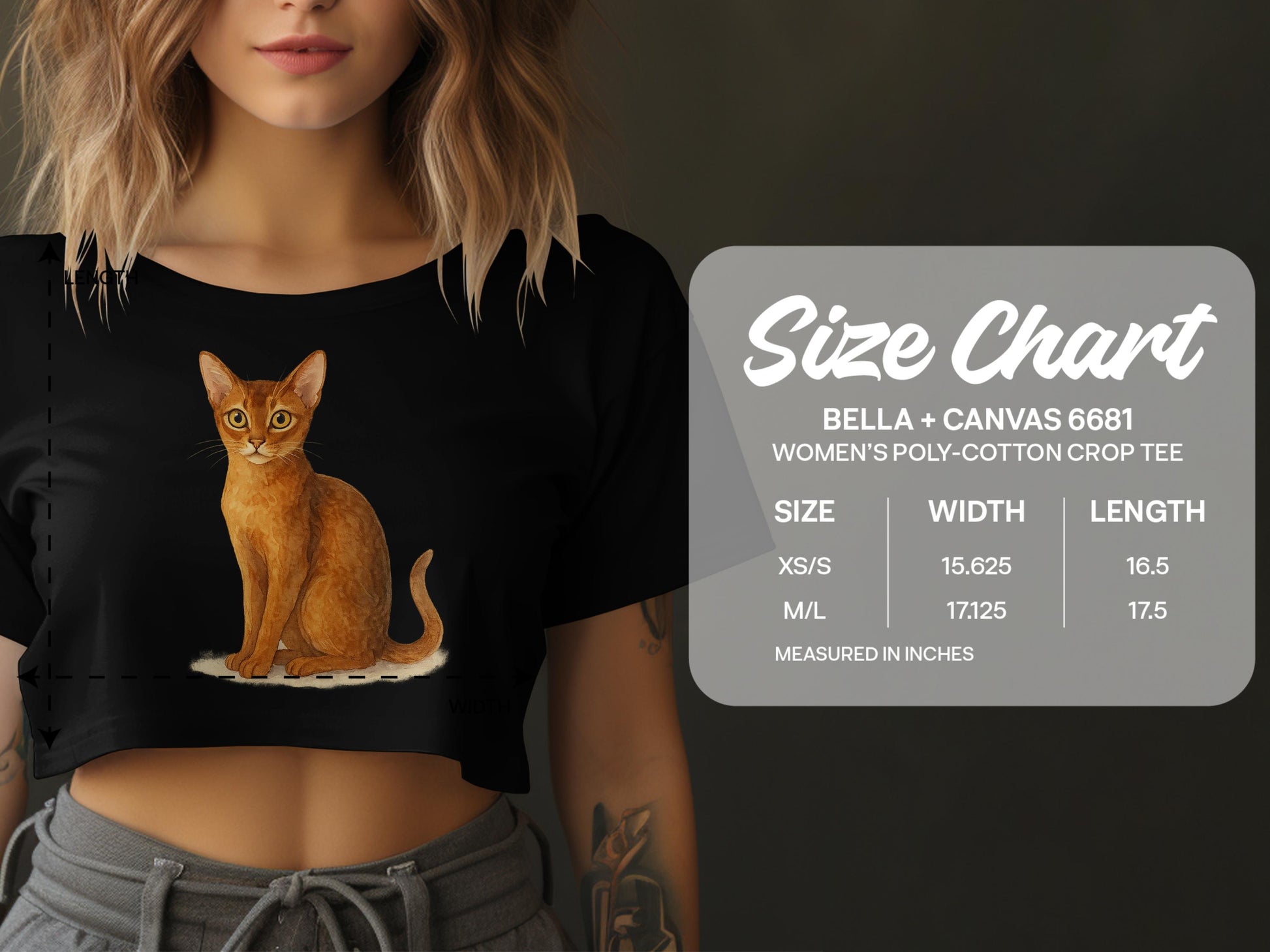 Orange Cat Women's Poly-Cotton Crop Tee product type